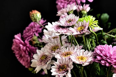 Güzel bir buket çiçek, yakın manzara, yaz konsepti.