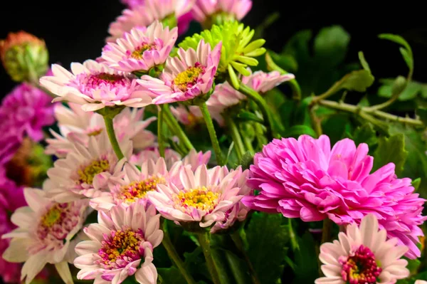 Piękny Bukiet Kwiatów Widok Bliska Koncepcja Latem — Zdjęcie stockowe