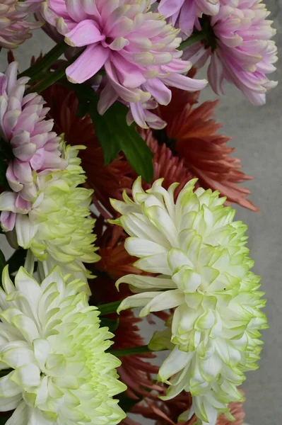 Hermoso Ramo Flores Cerca — Foto de Stock