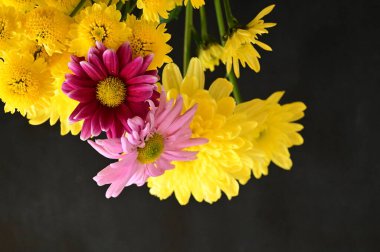 Siyah arkaplanda sarı ve pembe çiçekler