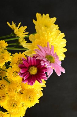 Siyah arkaplanda sarı ve pembe çiçekler