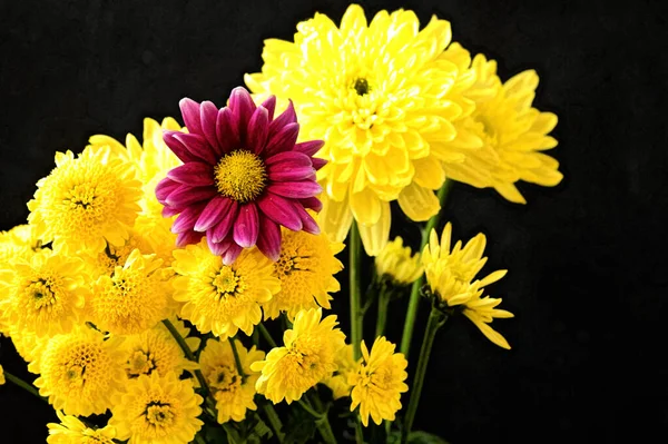 아름다운 꽃이며 꽃봉오리를 닫는다 — 스톡 사진