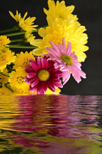Schöne Herbstblumen Wasser — Stockfoto