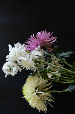 Güzel closeup sonbahar çiçekler