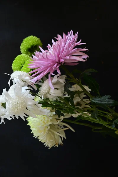 Közelkép Szép Őszi Virágok — Stock Fotó