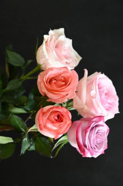 Siyah arka planda güzel yumuşak güller