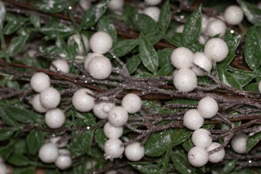 Noel süslemesi çelengi, kapat.