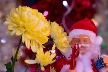 Kırmızı şapkalı ve güzel sarı çiçekli Noel Baba