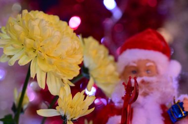 Kırmızı şapkalı ve güzel sarı çiçekli Noel Baba