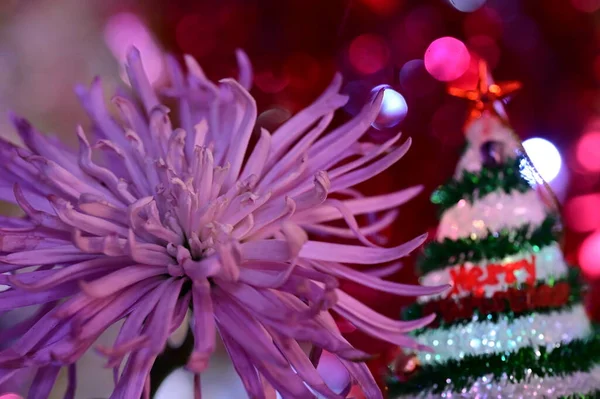 Bela Flor Com Decoração Árvore Natal — Fotografia de Stock