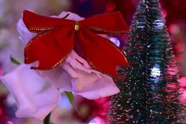 Όμορφο Λουλούδι Χριστουγεννιάτικη Διακόσμηση Τόξο — Φωτογραφία Αρχείου