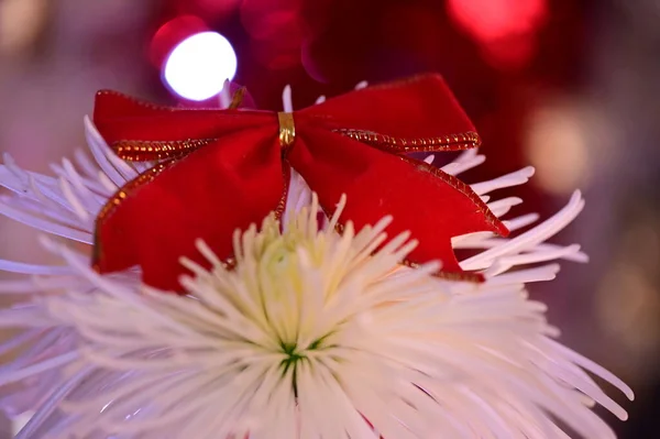 Belle Fleur Avec Décoration Arc Noël — Photo