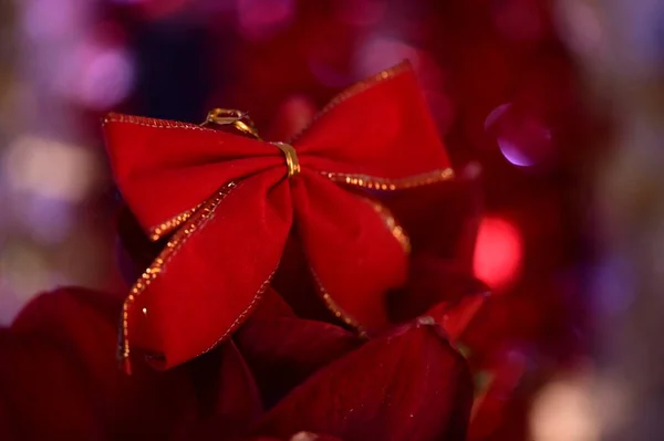Рождественские Украшения Красными Цветами Луком — стоковое фото