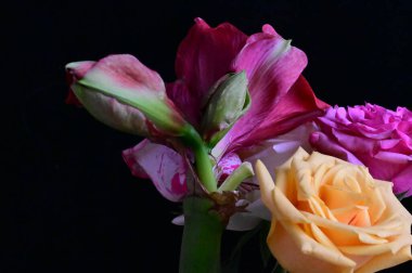 Koyu arkaplanda güller olan güzel bir buket.