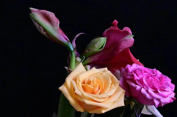 Gyönyörű Csokor Rózsákkal Sötét Háttéren — Stock Fotó
