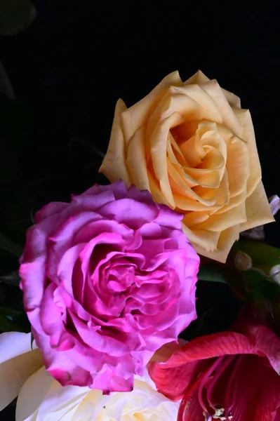 Stock image beautiful bouquet with roses on dark background