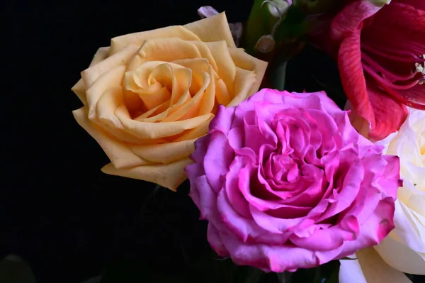 stock image beautiful bouquet with roses on dark background