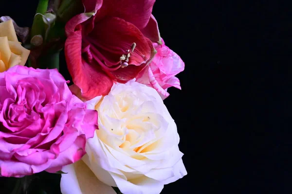 Krásná Kytice Růžemi Tmavém Pozadí — Stock fotografie