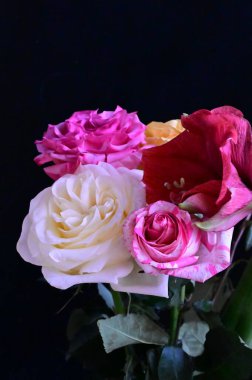 Koyu arkaplanda güller olan güzel bir buket.