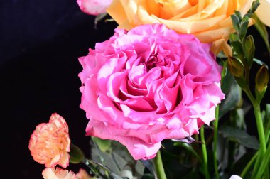 güzel çiçeklerin yakın görünümü 