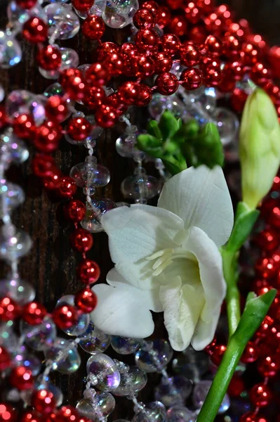 Belas Flores Brancas Com Contas Brilhantes Vista Perto — Fotografia de Stock