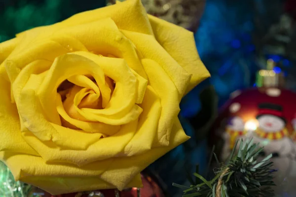 Κίτρινο Τριαντάφυλλο Λουλούδι Χριστουγεννιάτικο Δέντρο Και Διακοσμήσεις — Φωτογραφία Αρχείου