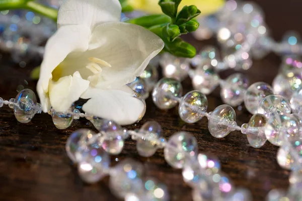 Belles Fleurs Blanches Avec Des Perles Brillantes Vue Rapprochée — Photo