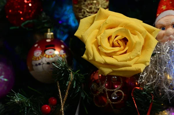 Sárga Rózsa Virág Karácsonyfa Díszek — Stock Fotó