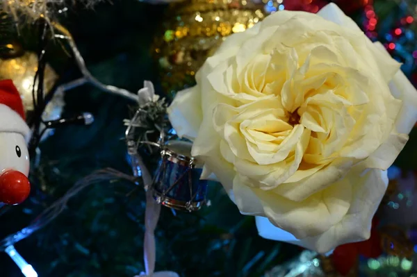 Witte Roos Bloem Met Kerstboom Decoraties — Stockfoto