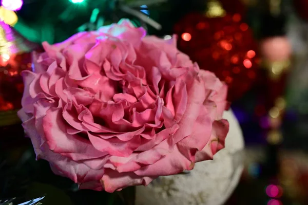 Ροζ Τριαντάφυλλο Λουλούδι Χριστουγεννιάτικο Δέντρο Και Διακοσμήσεις — Φωτογραφία Αρχείου