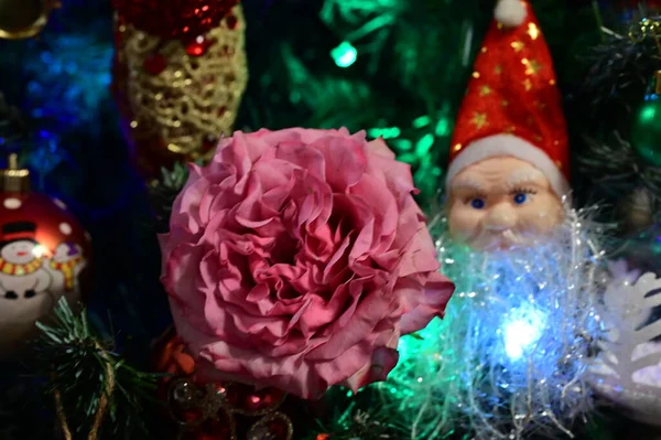 Rosa Rosa Rosa Flor Com Árvore Natal Decorações — Fotografia de Stock