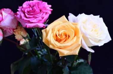 Gül çiçekleri ile güzel kompozisyonun yakın çekimi 