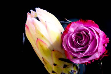 Güzel çiçek buketinin yakın görüntüsü