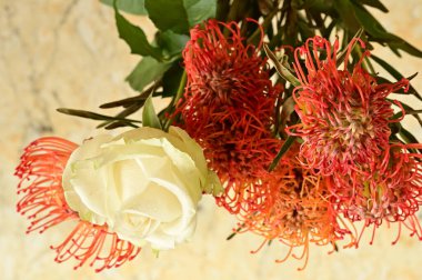 Güzel çiçek buketinin yakın görüntüsü