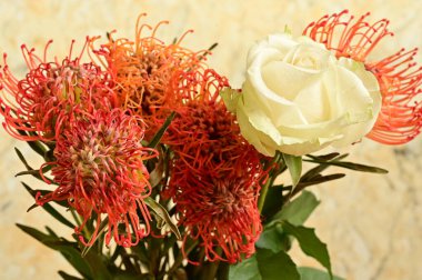 Güzel çiçek buketinin yakın görüntüsü