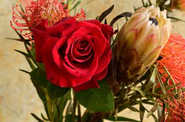 Güzel çiçekler, yakın manzara. 