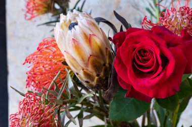 Kral proetea ve turuncu protea çiçekleriyle güzel bir kompozisyon.