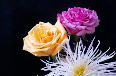 Gül çiçekleri ile güzel kompozisyonun yakın çekimi 