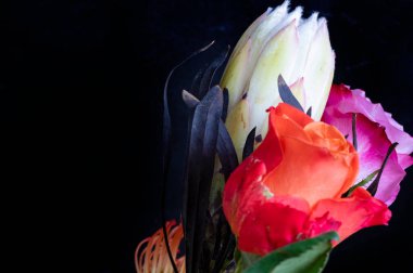 Protea ve gül çiçekleri ile güzel kompozisyonun yakın çekimi 