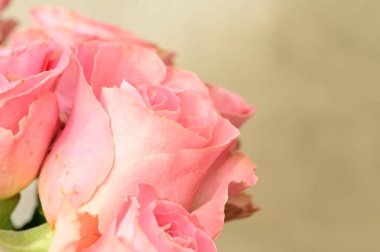 beautiful bouquet of roses  flowers, close up
