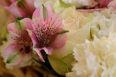 Güzel çiçek kompozisyonu, kapat.