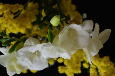 beautiful  spring flowers composition, close up