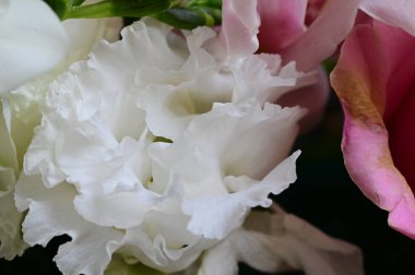 Güzel çiçek kompozisyonu, kapat.