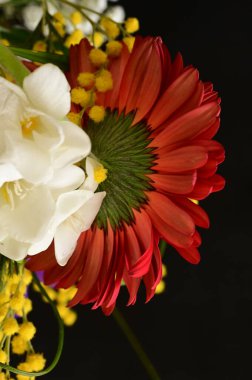 beautiful  spring floral   composition