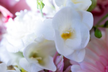 beautiful floral composition, bouquet,  close up