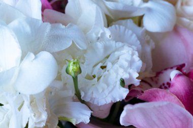 beautiful floral composition, bouquet,  close up