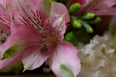 beautiful floral composition, bouquet,  close up
