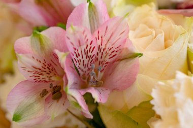beautiful floral composition, bouquet,  close up