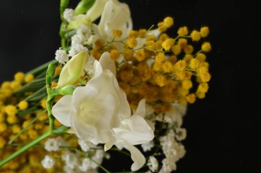 floral  composition   with freesias  and mimosas    on black background