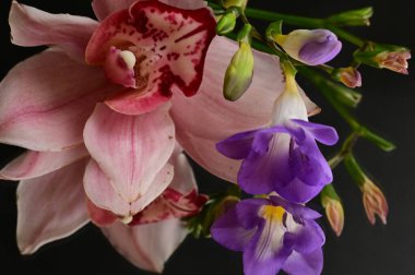 beautiful floral composition, bouquet with orchids and freesias 